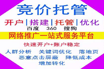 成功案例解析：SEM竞价托管运营策略